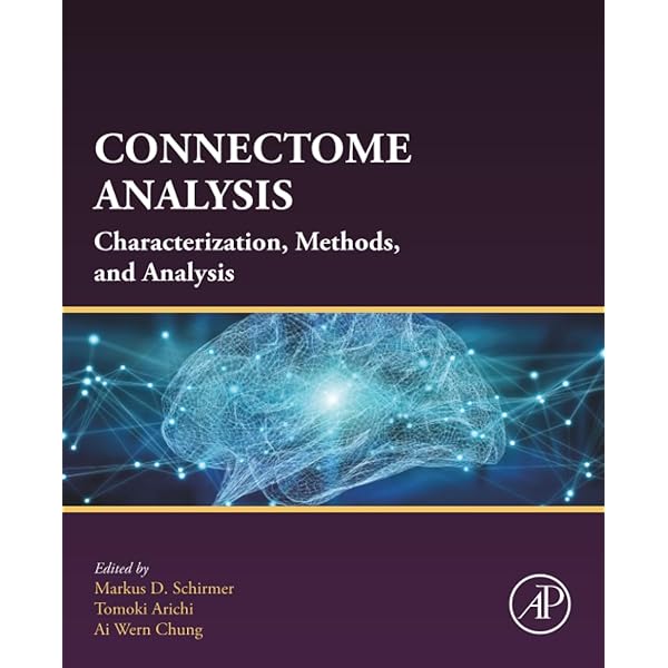Computational and Network Modeling of Neuroimaging Data